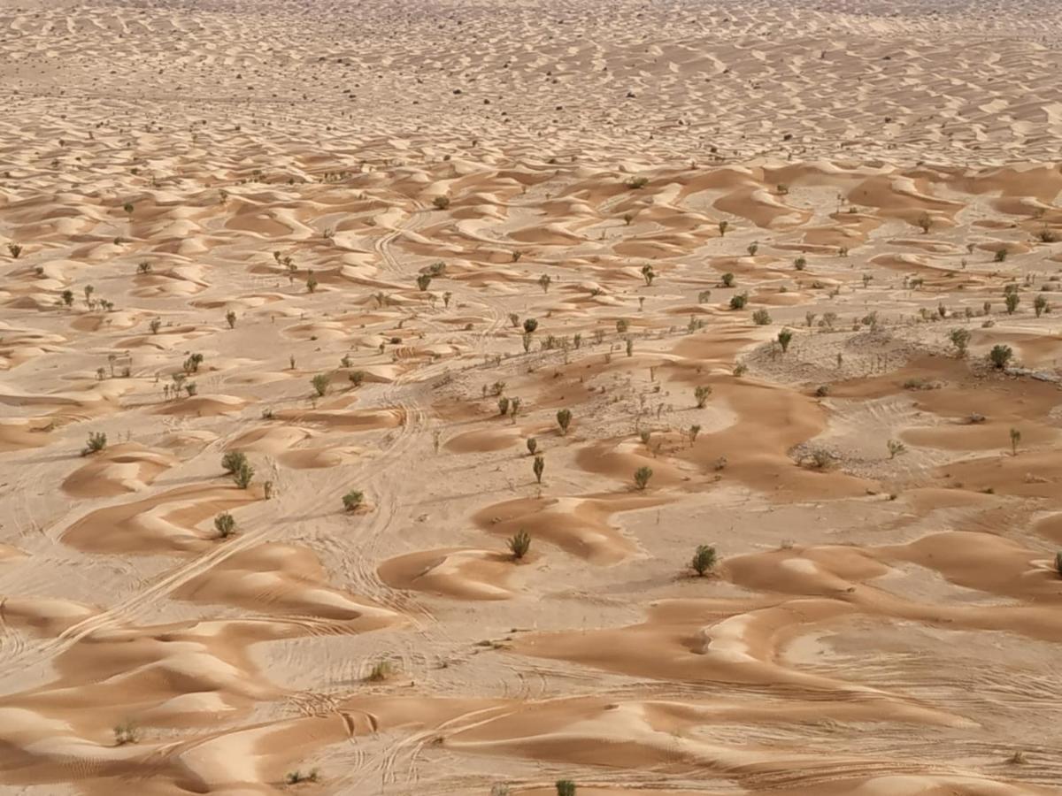 Grand Sud, La Maison De Sable Douz Exteriér fotografie