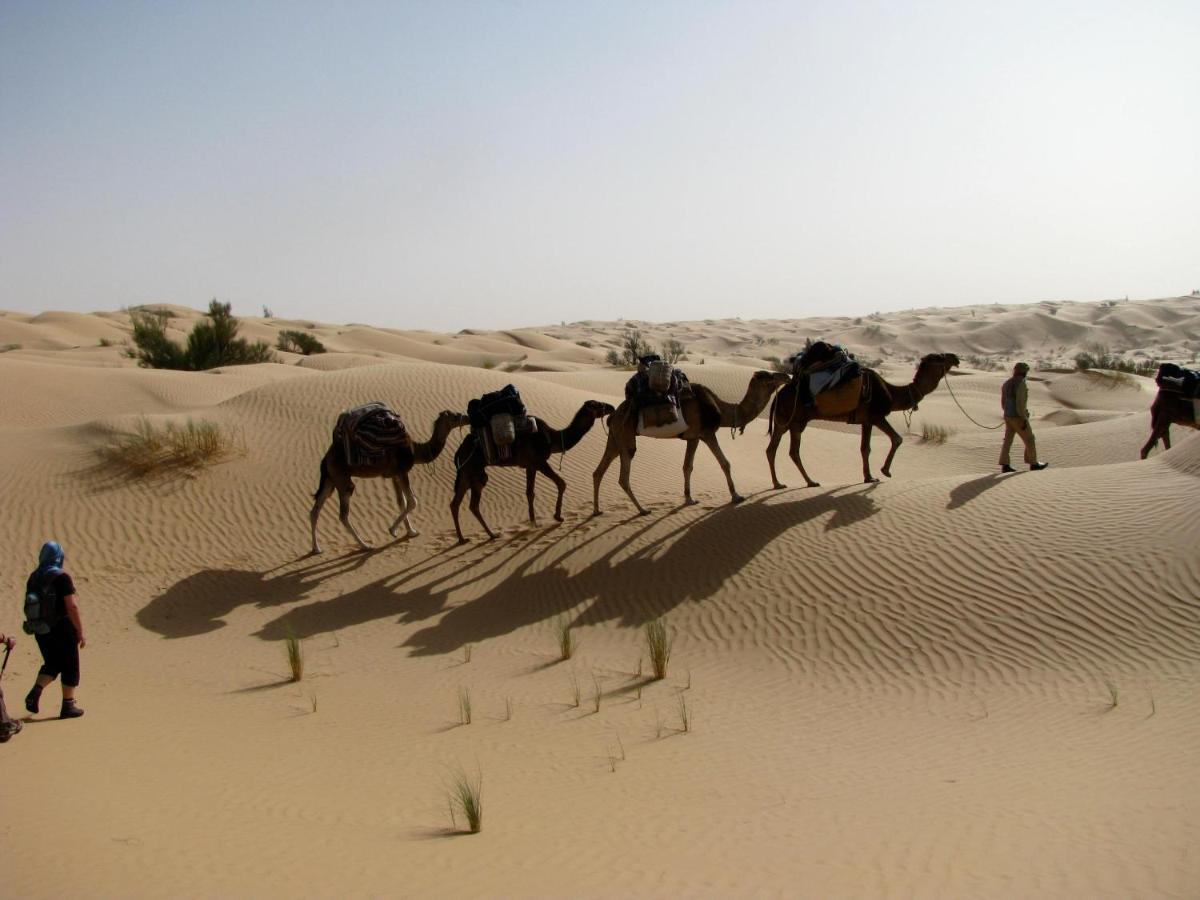 Grand Sud, La Maison De Sable Douz Exteriér fotografie