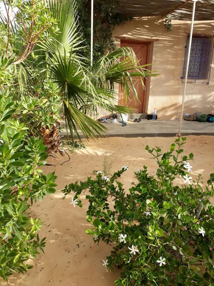 Grand Sud, La Maison De Sable Douz Exteriér fotografie